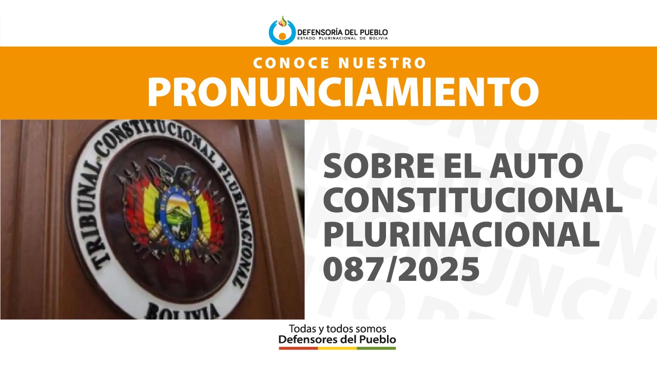 SOBRE EL AUTO CONSTITUCIONAL PLURINACIONAL 087/2025