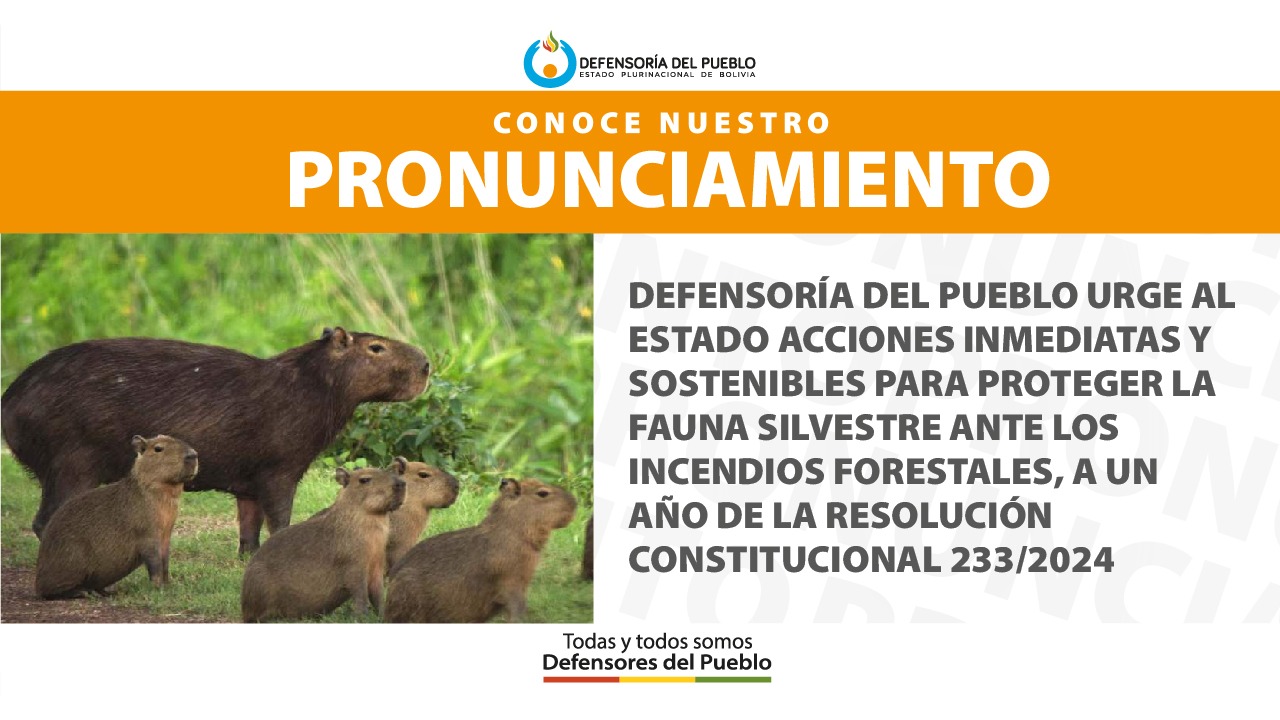DEFENSORÍA DEL PUEBLO URGE AL ESTADO ACCIONES INMEDIATAS Y SOSTENIBLES PARA PROTEGER LA FAUNA SILVESTRE ANTE LOS INCENDIOS FORESTALES, A UN AÑO DE LA RESOLUCIÓN CONSTITUCIONAL 233/2024