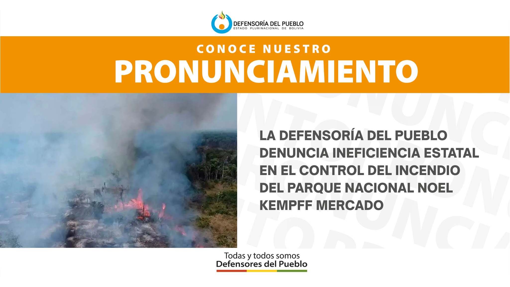 DEFENSORÍA DEL PUEBLO DENUNCIA INEFICIENCIA ESTATAL EN EL CONTROL DEL INCENDIO DEL PARQUE NACIONAL NOEL KEMPFF MERCADO