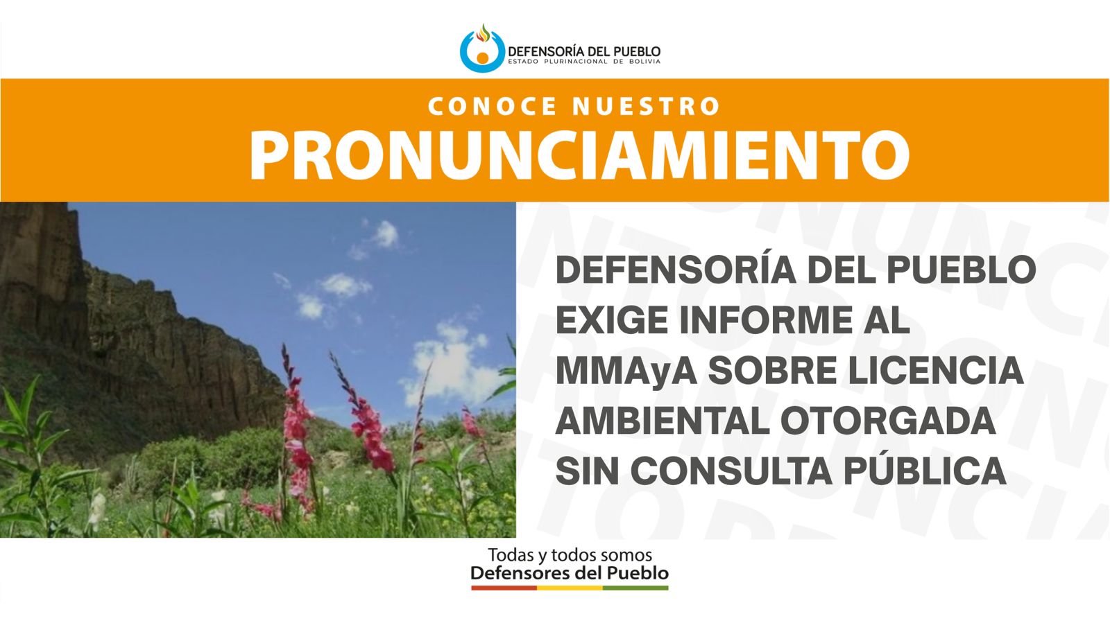 DEFENSORÍA DEL PUEBLO EXIGE INFORME AL MMAyA SOBRE LICENCIA AMBIENTAL OTORGADA SIN CONSULTA PÚBLICA