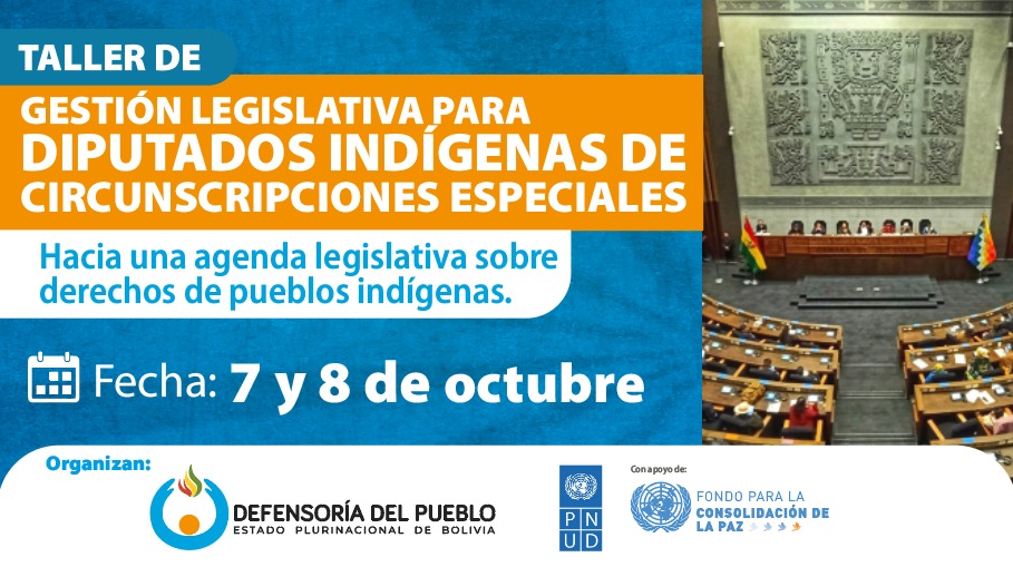 DEFENSORÍA DEL PUEBLO IMPULSA LA ELABORACIÓN COLECTIVA DE LA AGENDA LEGISLATIVA DE DERECHOS HUMANOS PUEBLOS INDÍGENAS